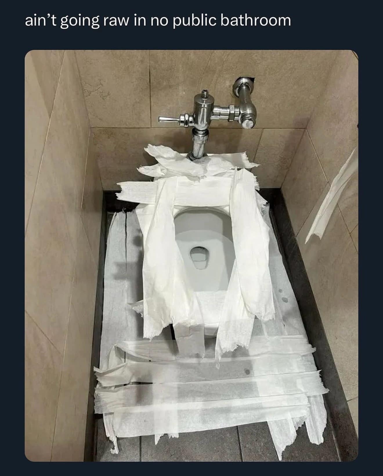 A viral meme dump photo of a public toilet seat completely armored in layers of toilet paper that extend to the floor, with the caption "ain’t going raw in no public bathroom."