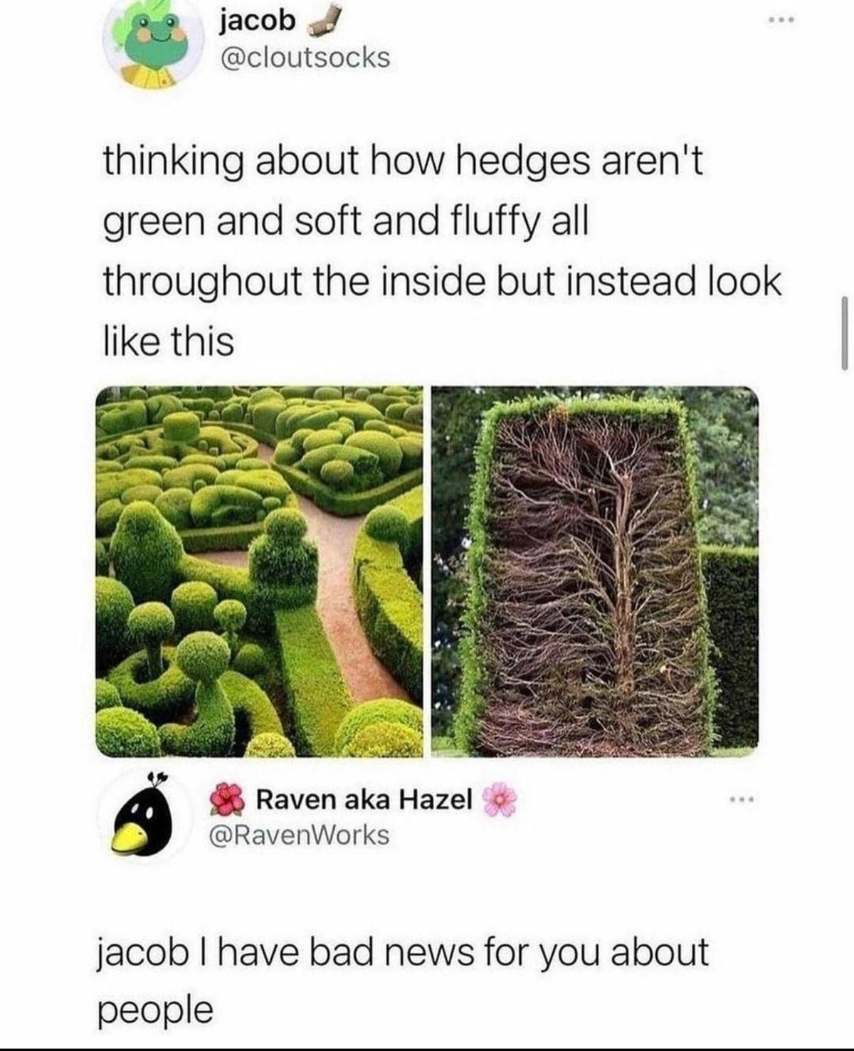 A two-panel snapshot comparing a pristine green topiary labyrinth against a dead, woody cross-section of a garden hedge anchors a clever post about the unsettling internal realities of human anatomy.