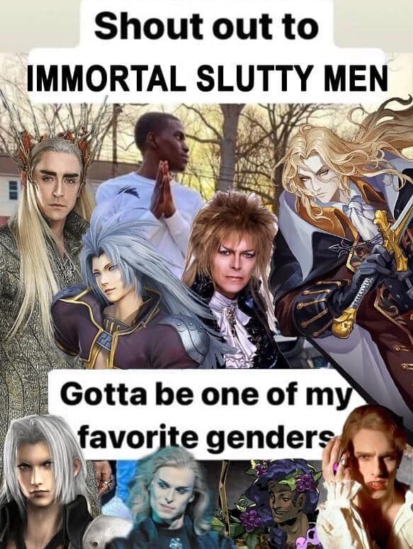 A character collage populating a chaotic funny meme features iconic pop-culture figures like Thranduil, David Bowie's Jareth, Alucard, and Sephiroth under the bold proclamation, "Shout out to IMMORTAL SLUTTY MEN... Gotta be one of my favorite genders."