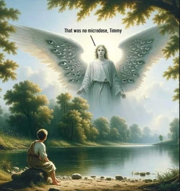 A surreal funny meme showing an AI-generated image of a young boy sitting by a lake, looking up at a massive, multi-eyed angel. A speech bubble from the angel reads, "That was no microdose, Timmy."