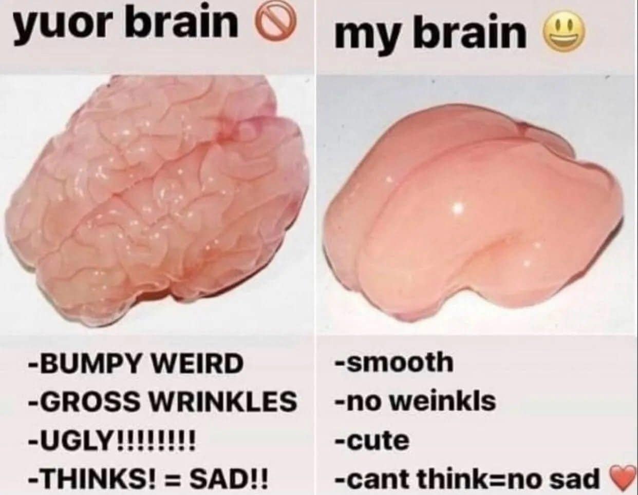 An internet intelligence chart added to our meme dump compares a wrinkled, sad normal human organ against a completely polished, glistening, pink smooth brain that experiences zero sadness because it is incapable of cognitive thought.