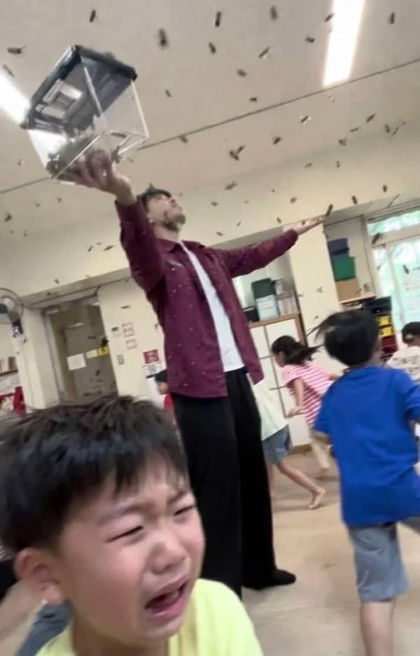 A chaotic funny meme showing a man in a classroom dramatically releasing a swarm of insects from a clear container into the air, while a young boy in the foreground is captured mid-wail in absolute terror.