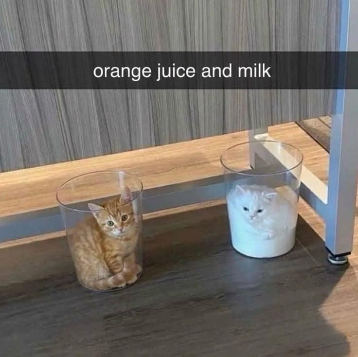 A cute animal-analogy funny meme featuring an orange kitten and a white kitten curled up inside clear plastic waste bins, labeled "orange juice and milk."