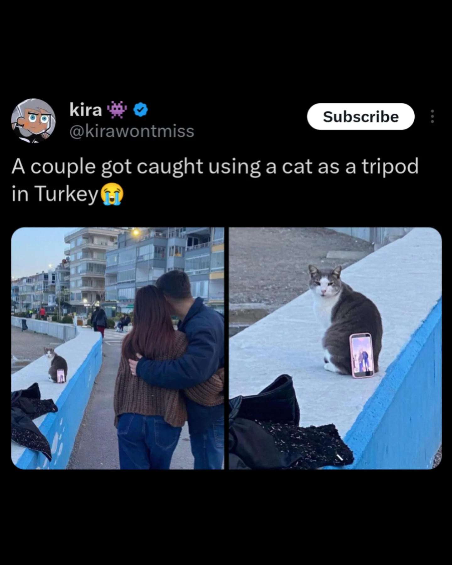 A photo from Turkey showing a couple posing for a romantic waterfront photo while using a patient stray cat as a makeshift tripod to prop up their smartphone.