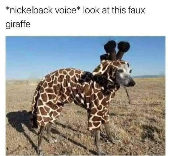 A pop-culture pun funny meme displaying a slender greyhound dog wearing a full-body giraffe costume, captioned with a parody of a Nickelback lyric: "look at this faux giraffe."