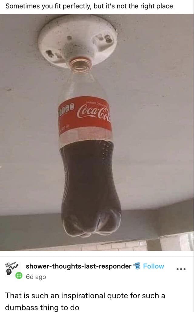 A deep-thought parody in a comedy meme dump pairs a motivational quote about finding your right place over a photo of a full plastic Coca-Cola bottle stuffed into an open ceiling light socket, met with a savage text reply.