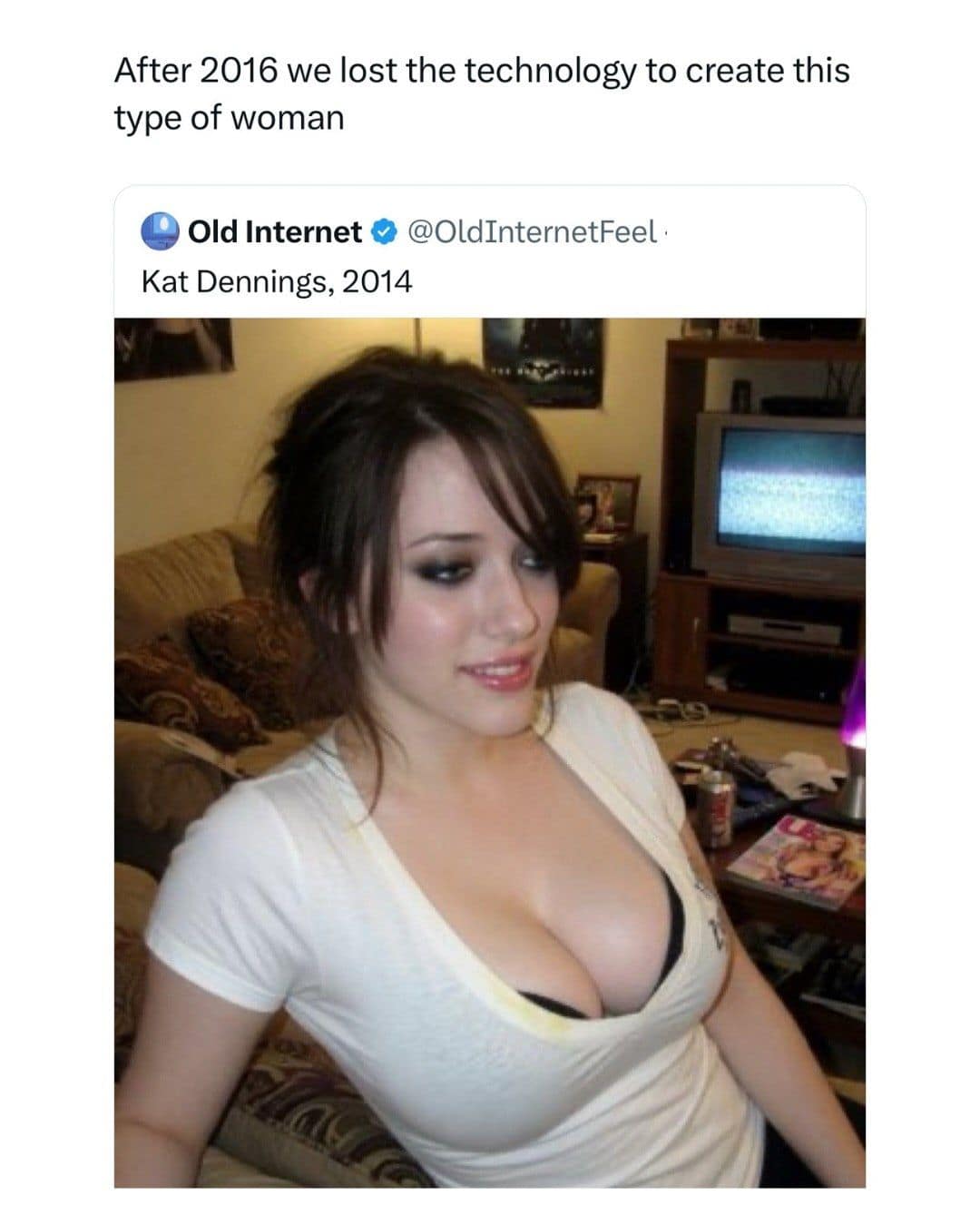 A nostalgic meme dump post featuring a 2014 photo of actress Kat Dennings, claiming that after 2016, humanity lost the technology to "create this type of woman."