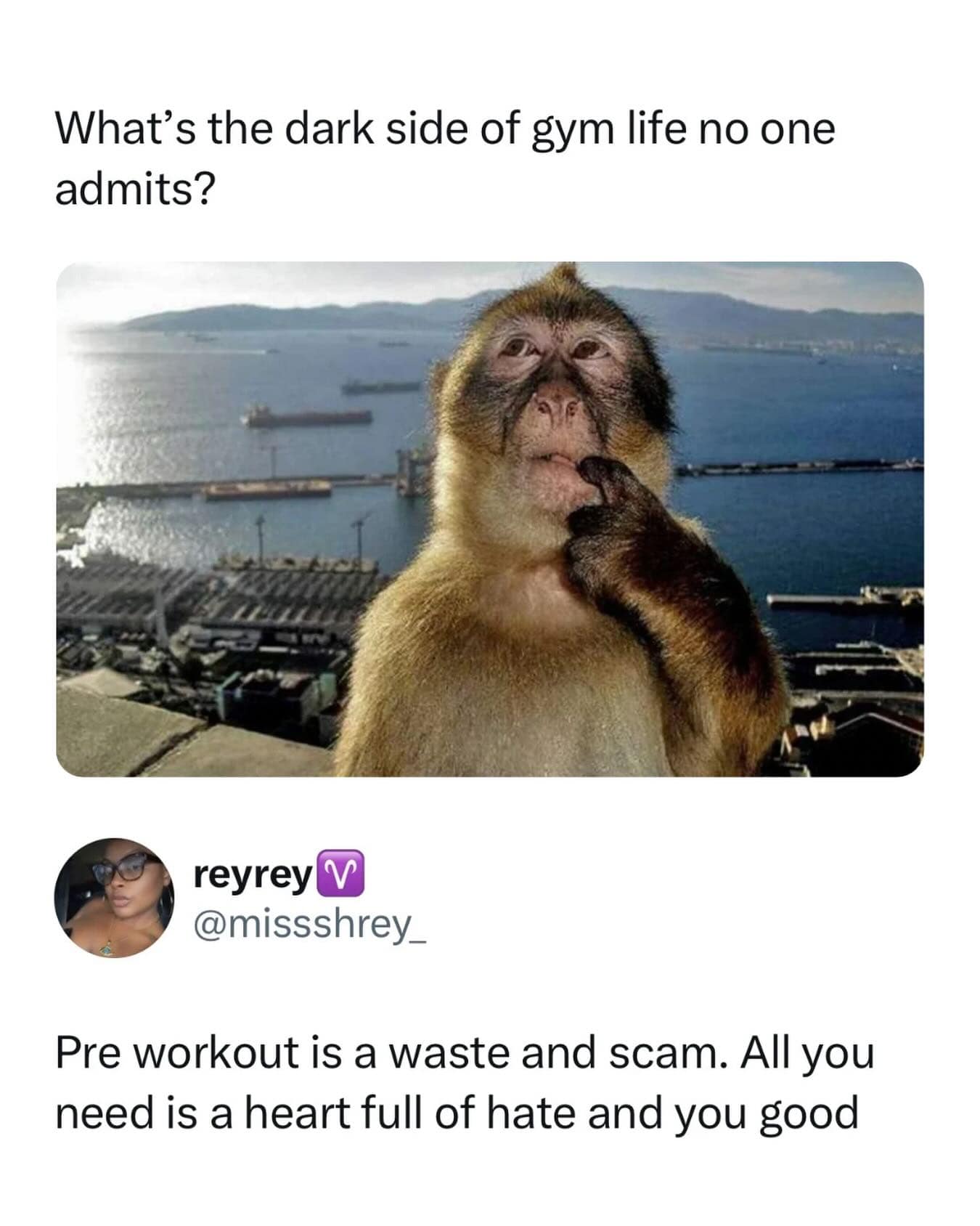 A social media post exploring fitness subcultures becomes a hilarious meme when a thoughtful macaque monkey represents an athlete realizing that premium pre-workout supplements are an expensive scam compared to fueling training sessions with raw, concentrated spite.