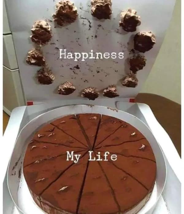 A visual metaphor funny meme showing a chocolate cake where all the frosting stuck to the lid; the lid is labeled "Happiness" and the bare, dry cake slices are labeled "My Life."