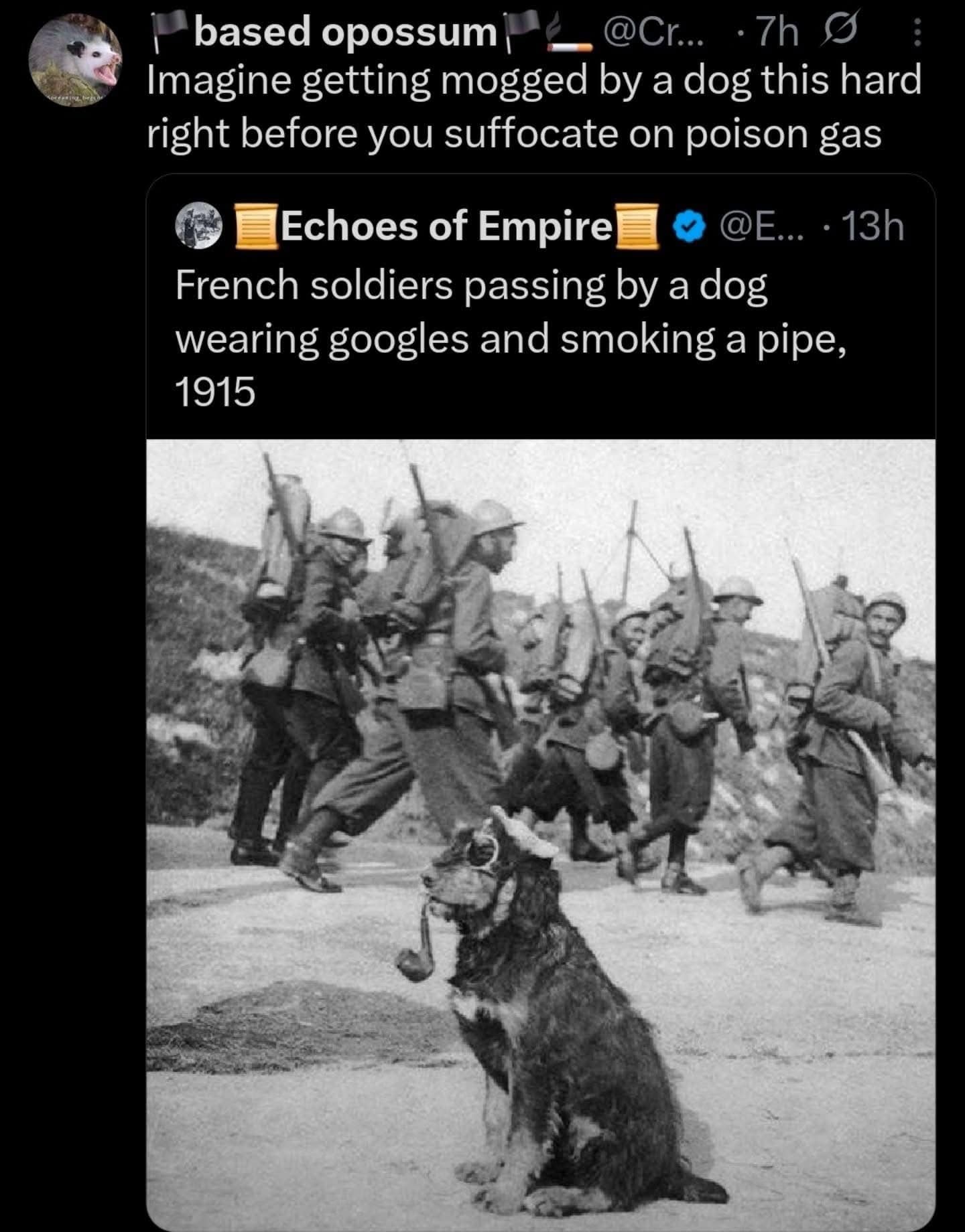 A historical World War I archive photo showing French infantry soldiers marching past a shaggy trench dog wearing protective goggles and holding a tobacco pipe in its mouth anchors a trending entry in this meme dump.