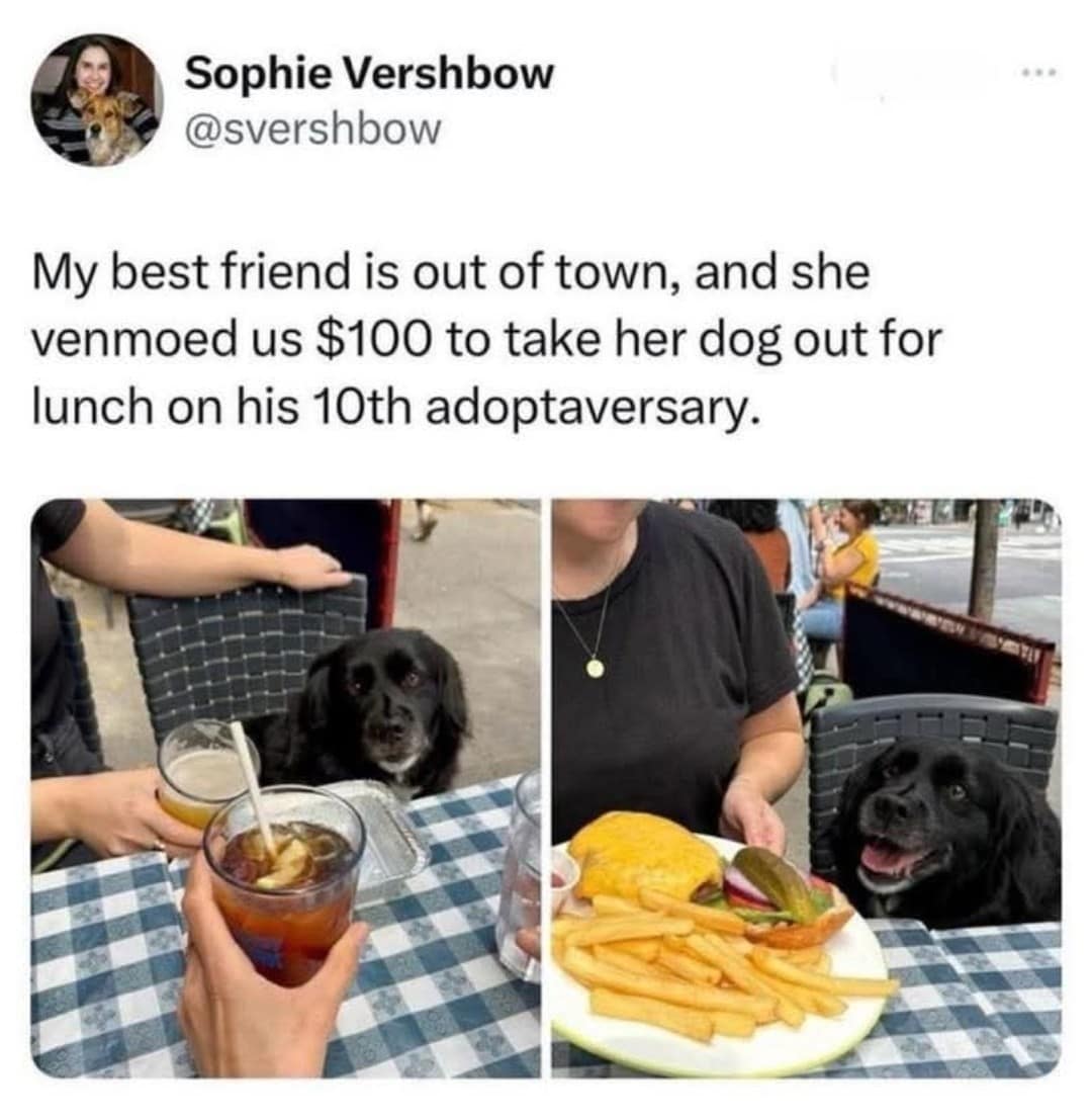 A wholesome meme dump entry showing a black dog named Bentley sitting at a restaurant table with a massive cheeseburger and a pile of fries. The tweet explains that his owner's best friend Venmoed $100 specifically to celebrate the dog's 10th "adoptaversary."