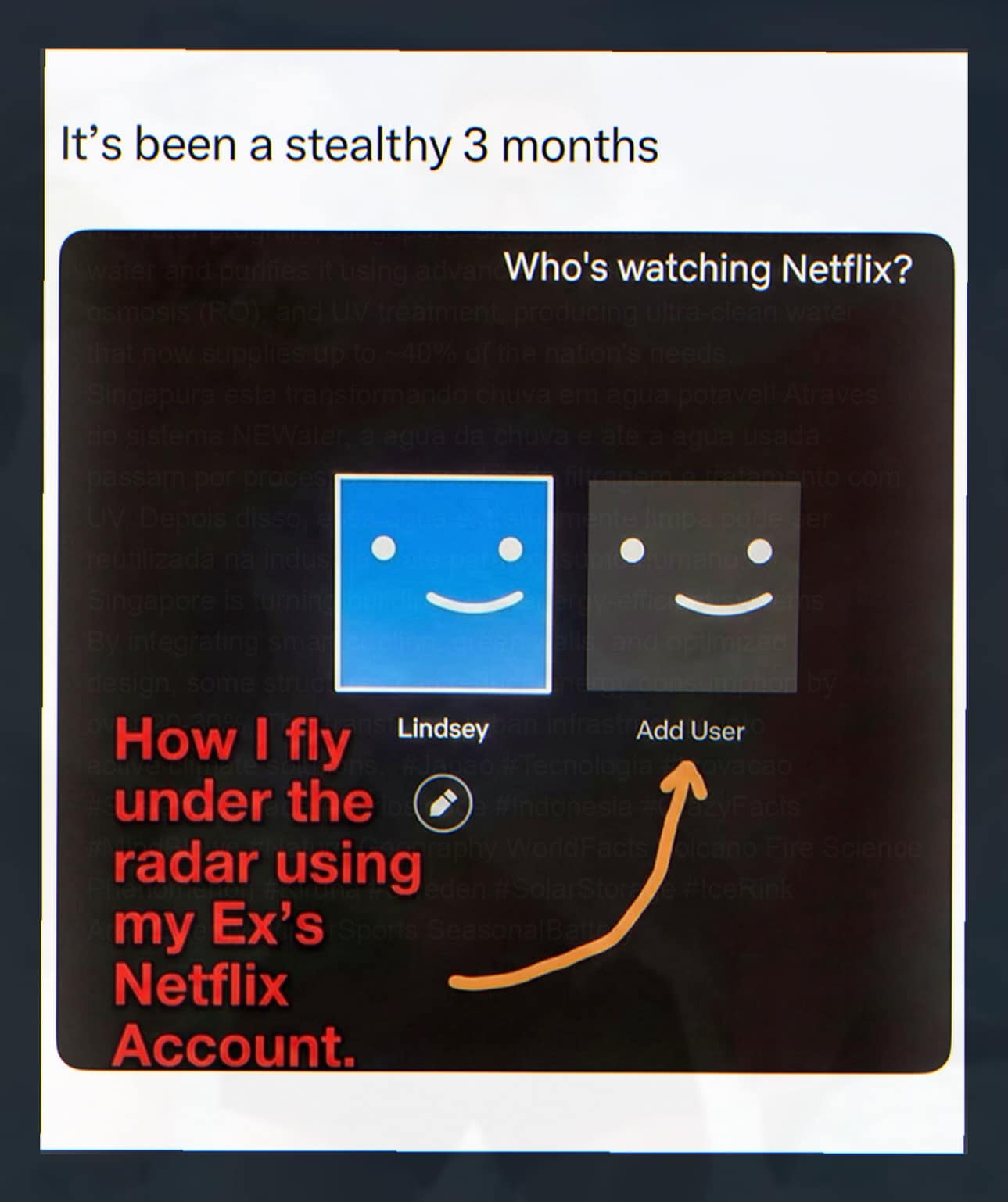 meme dump screenshot of a Netflix profile selection screen where a user has cleverly edited a new profile to blend perfectly with the "Add User" icon, allowing them to use their ex's account undetected for months.