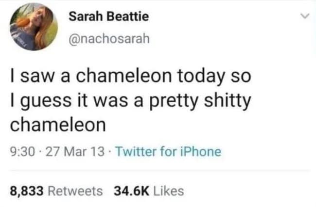 A sharp-witted funny meme tweet by Sarah Beattie noting that since she actually saw a chameleon today, it must have been a "pretty shitty chameleon."