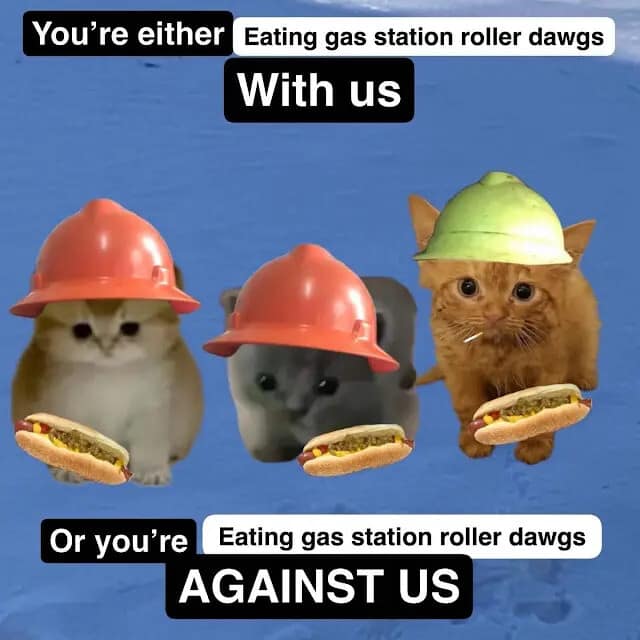 A surreal and aggressive meme dump graphic featuring three kittens wearing construction hard hats and a safari helmet while clutching gas station roller dogs.