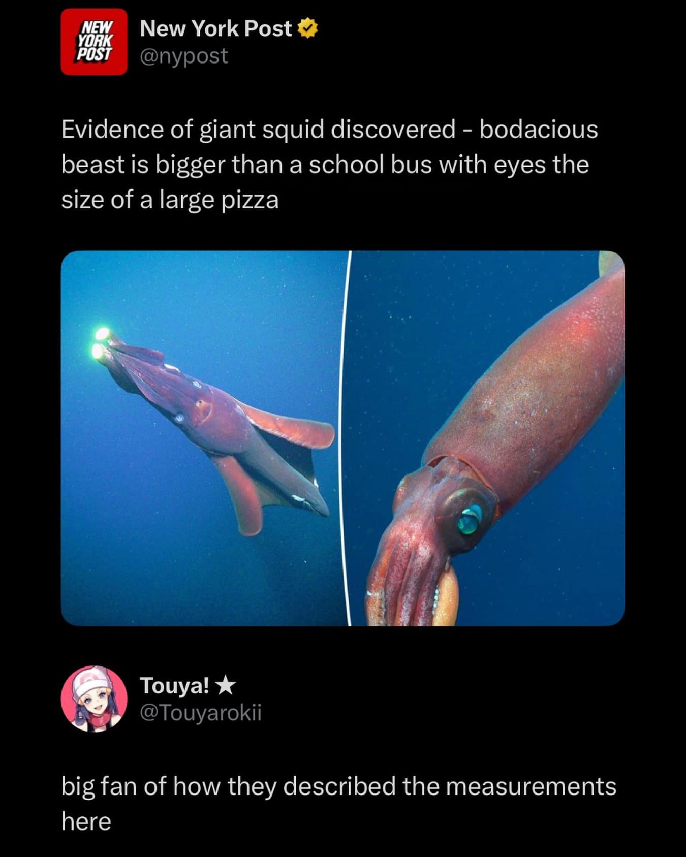 A meme dump post mocking the New York Post for describing a giant squid's measurements using "school buses" and "large pizzas" as standard units of scientific comparison.