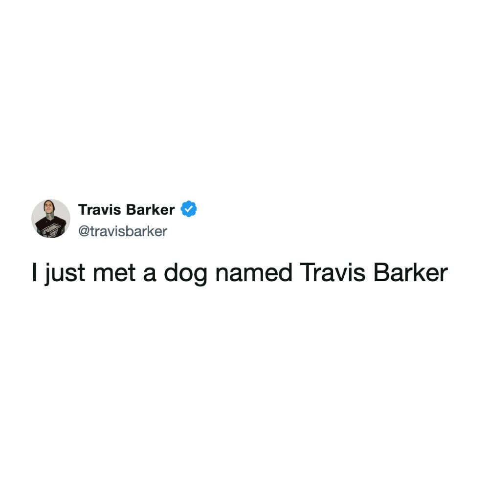A clean minimalist tweet by musician Travis Barker textually sharing that he just met a real dog named Travis Barker makes a charmingly simple contribution to this week's meme dump.