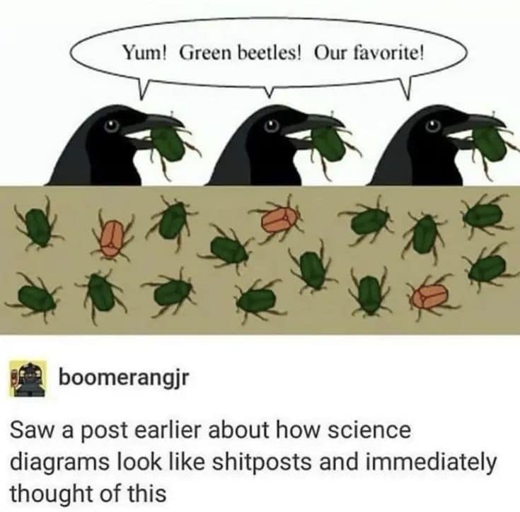 An illustrated biology chart showing three black crows eating green beetles with a speech bubble reading "Yum! Green beetles! Our favorite!", shared on social media as an example of science diagrams looking like internet sh*tposts.