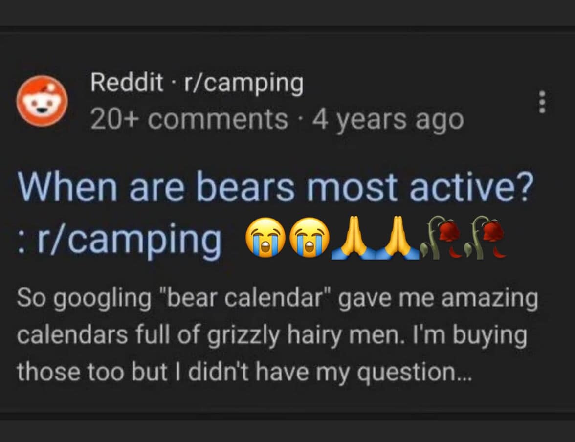A screenshot of a camping subreddit where a user realizes that googling "bear calendar" results in photos of "grizzly hairy men" instead of wildlife schedules.