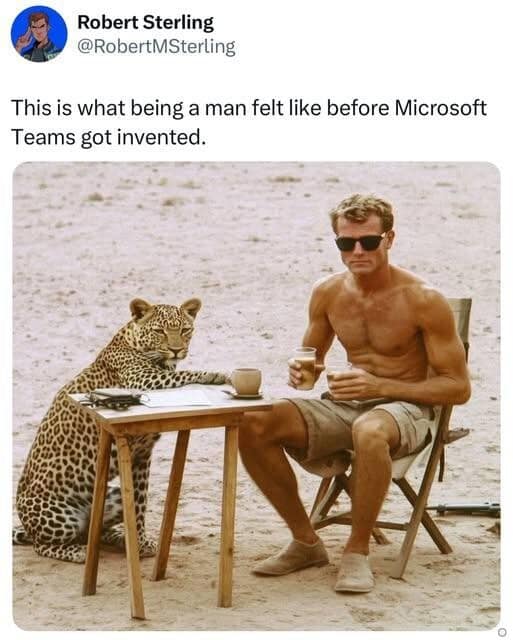 A nostalgic meme dump entry showing a shirtless, tanned man drinking beer at a small table with a literal leopard, captioned as life before Microsoft Teams.