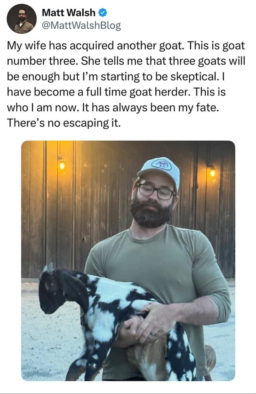 A tweet in this meme dump showing a bearded man holding his third goat and realizing his destiny as a full-time herder is inescapable.