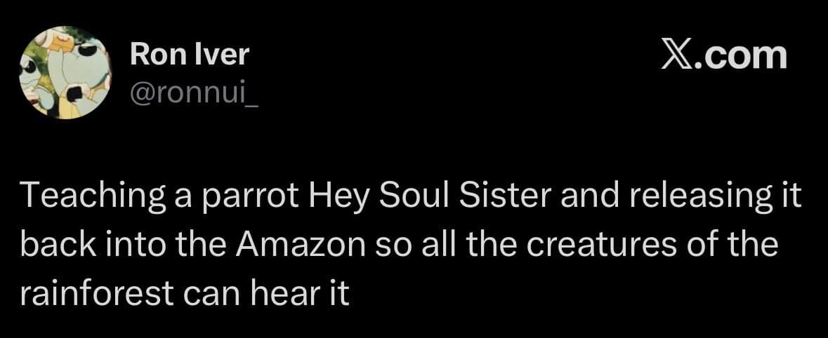 A chaotic funny meme tweet from Ron Iver proposing the ultimate environmental prank: teaching a parrot the lyrics to the song "Hey Soul Sister" before releasing it back into the Amazon rainforest to annoy all other living creatures.