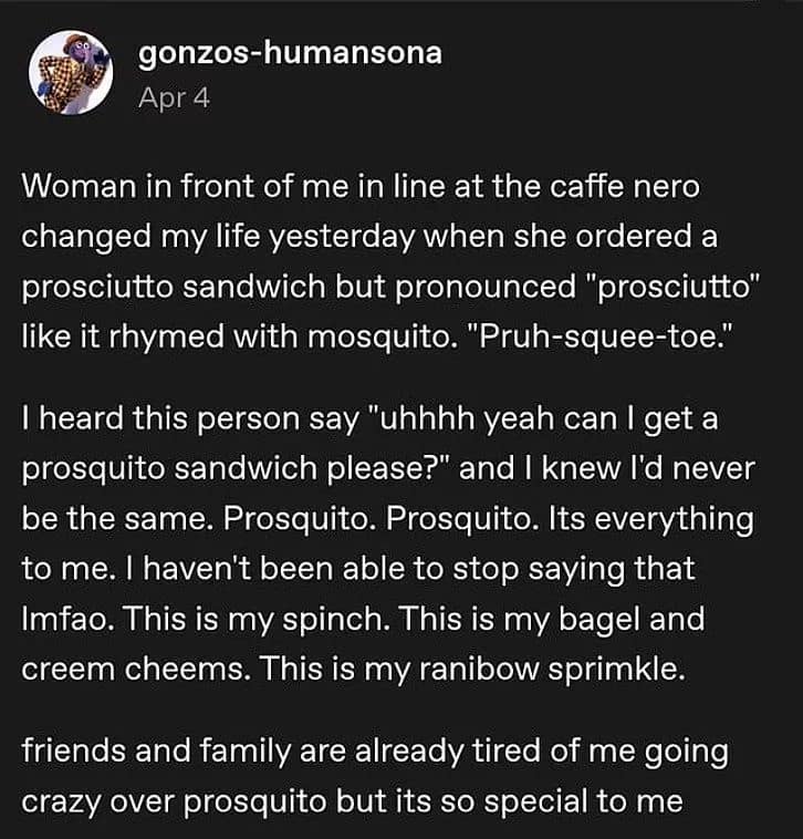 A text-heavy post from "gonzos-humansona" detailing a life-changing encounter where a woman mispronounced "prosciutto" as "prosquito," turning the word into a permanent linguistic obsession.