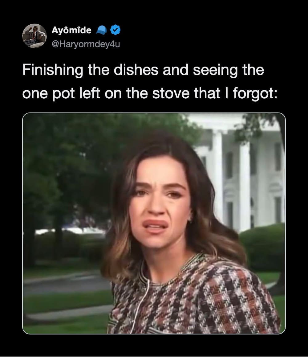 A relatable household chore graphic within a relatable meme dump showcases a text post about finishing the dishes only to find a forgotten pot on the stove, paired with a reaction image of a woman wincing in total disgust.