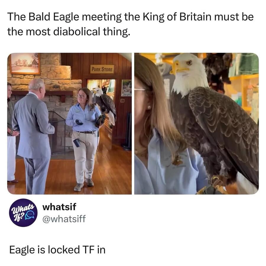 A meme dump highlight showing King Charles III meeting a Bald Eagle, with a zoomed-in shot of the eagle staring intensely at the monarch, captioned that the bird is "locked in."