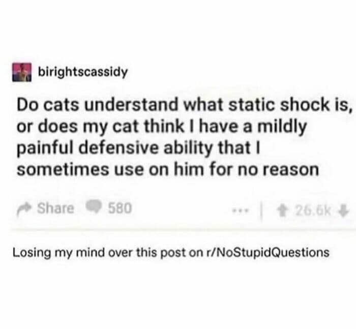 A Reddit screenshot from r/NoStupidQuestions in this meme dump wondering if cats think humans have a "mildly painful defensive ability" known as static shock.