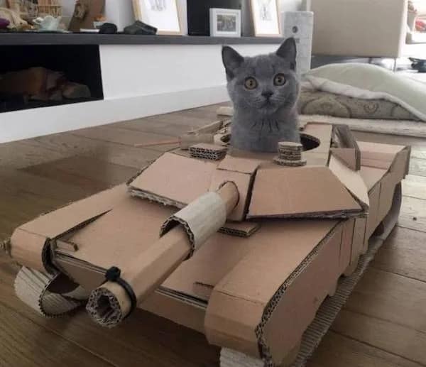 A wide-eyed grey British Shorthair kitten poking its head out of the top turret hatch of an incredibly detailed, homemade model military tank constructed entirely from recycled cardboard boxes.