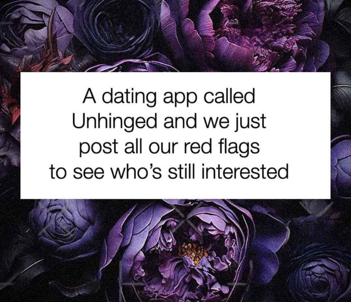 A text-based meme dump entry over a dark purple floral background proposing a new dating app called "Unhinged" where users lead with their red flags to save everyone’s time.