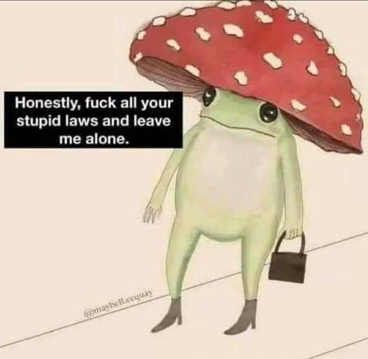 A hilarious meme featuring a whimsical drawing of a frog wearing high-heeled boots, carrying a tiny handbag, and sporting a red mushroom cap as a hat, captioned with a demand to be left alone by "stupid laws."