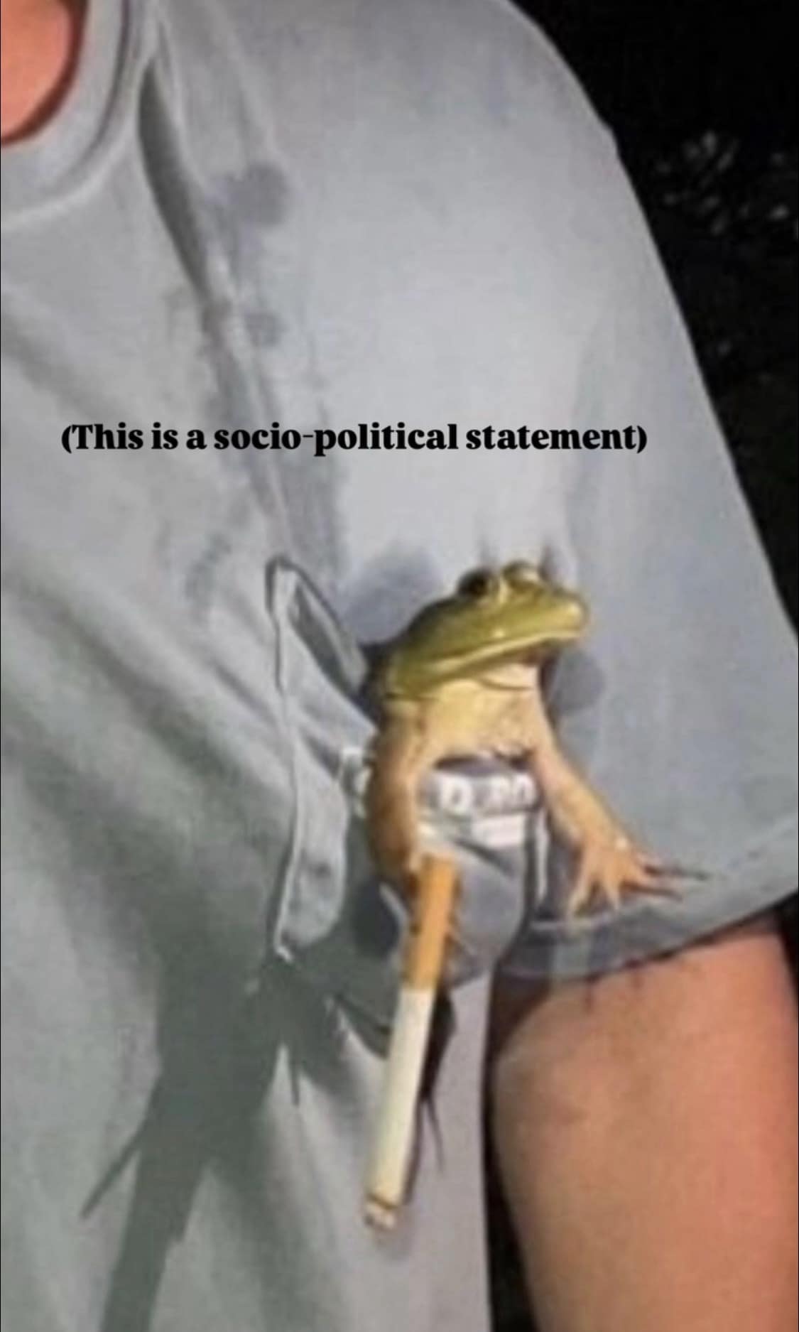 A close-up shot of a small green tree frog resting inside a light grey t-shirt pocket while holding a lit cigarette provides a hilarious meme text macro labeled explicitly as a socio-political statement.
