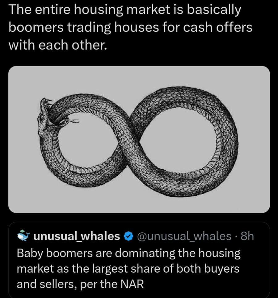 A cynical meme dump infographic about the 2026 real estate climate. It features an Ouroboros—a snake eating its own tail—in the shape of an infinity symbol to represent Baby Boomers being both the majority of buyers and sellers.