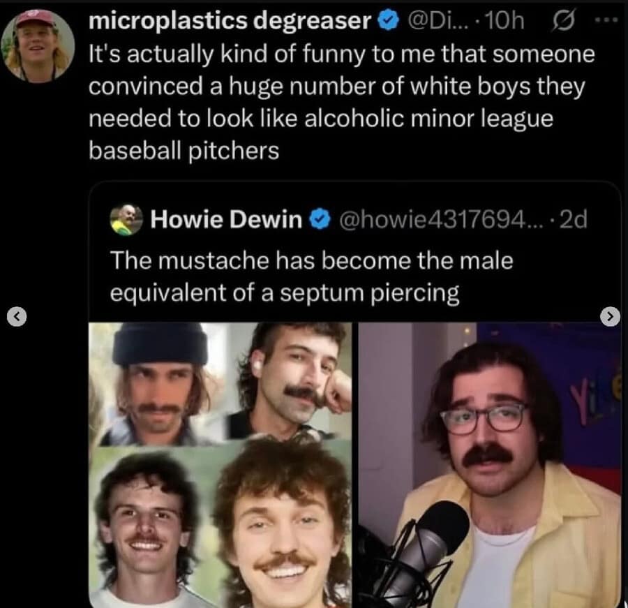 A meme dump collage of men with mustaches paired with a tweet comparing the look to "alcoholic minor league baseball pitchers."