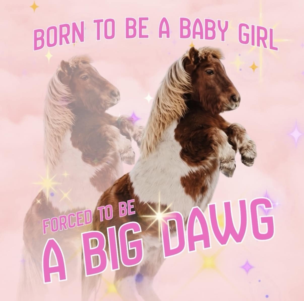 A sparkly, kitsch-inspired meme dump image of a pony rearing up against a pink background, captioned "BORN TO BE A BABY GIRL / FORCED TO BE A BIG DAWG."