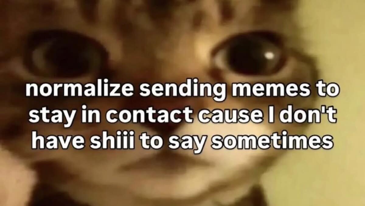blurry, wide-eyed cat face used as a meme dump highlight to explain that sending memes is the only way to stay in contact when you have nothing to say.