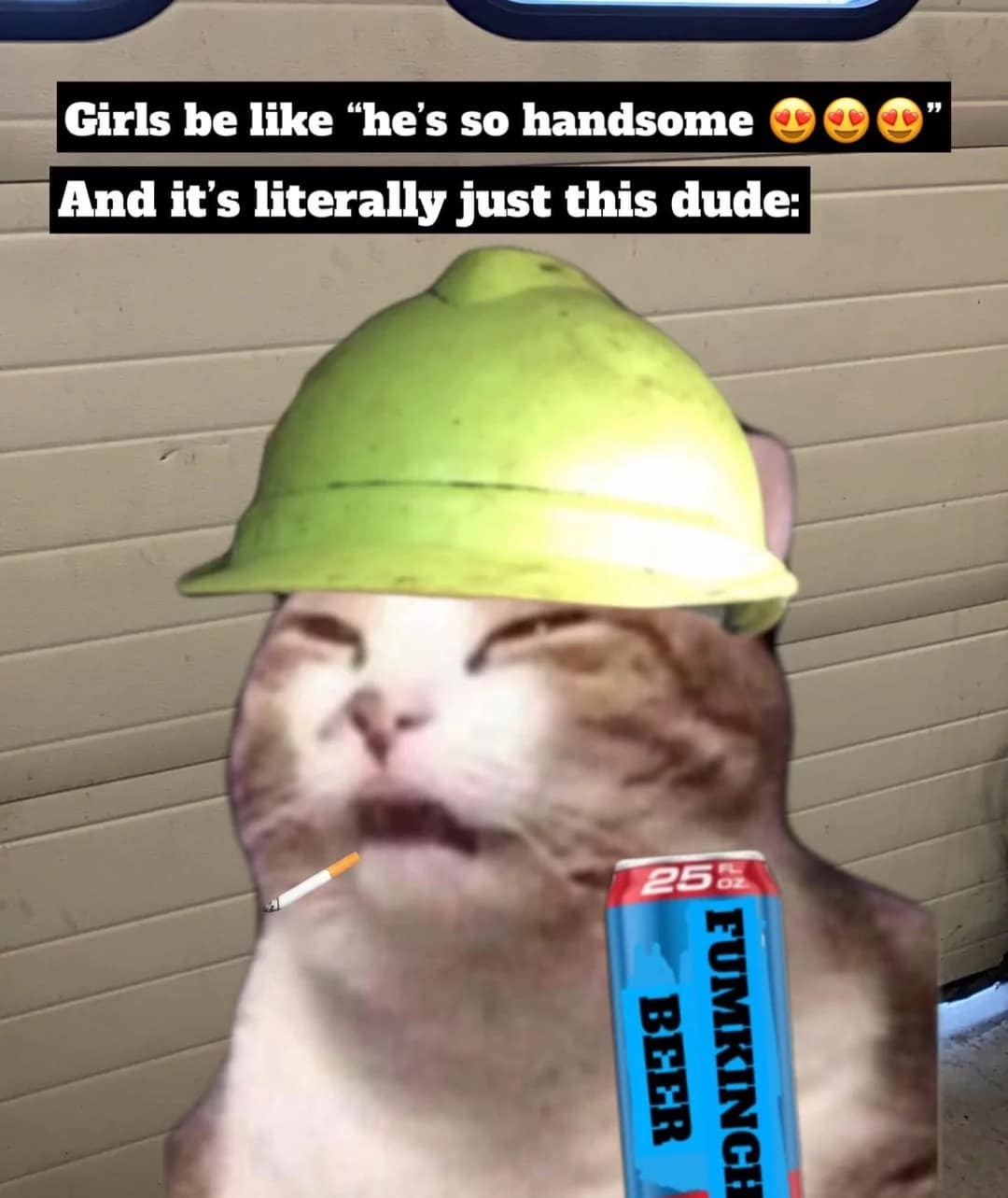 A meme dump post showing a tabby cat edited to look like a stressed blue-collar worker, complete with a yellow hard hat, a cigarette, and a tall can of beer. The text jokes about girls finding "dudes" who look exactly like this handsome.
