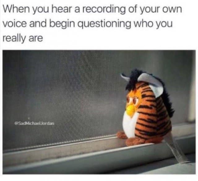 A Furby looks out a window with a melancholic expression as part of a meme dump highlighting the horror of hearing a recording of your own voice.
