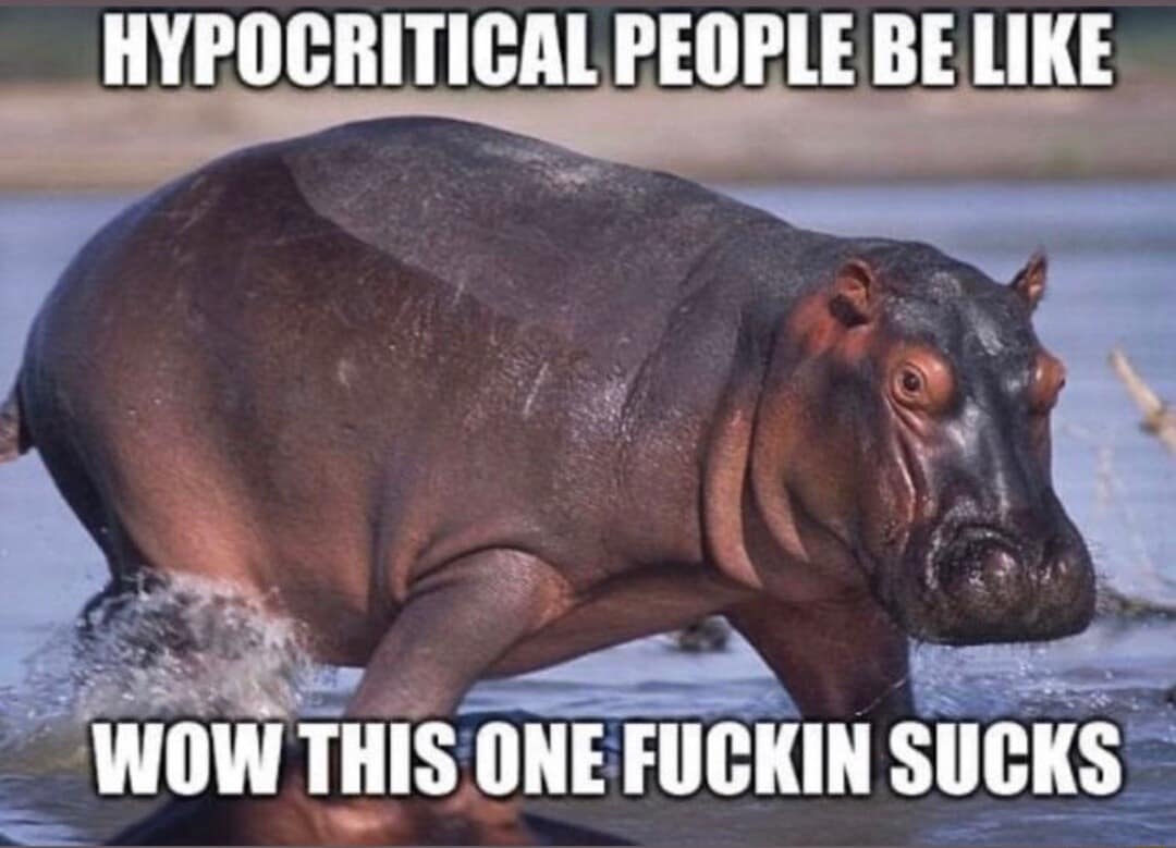 A classic funny meme featuring a hippo splashing through water with impact-font text making a pun on "hypocritical" people complaining that "this one sucks."