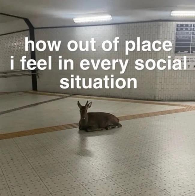 A relatable meme dump entry showing a lone deer sitting perfectly still on a sterile, tiled floor inside a subway station, representing the feeling of being out of place in social situations.