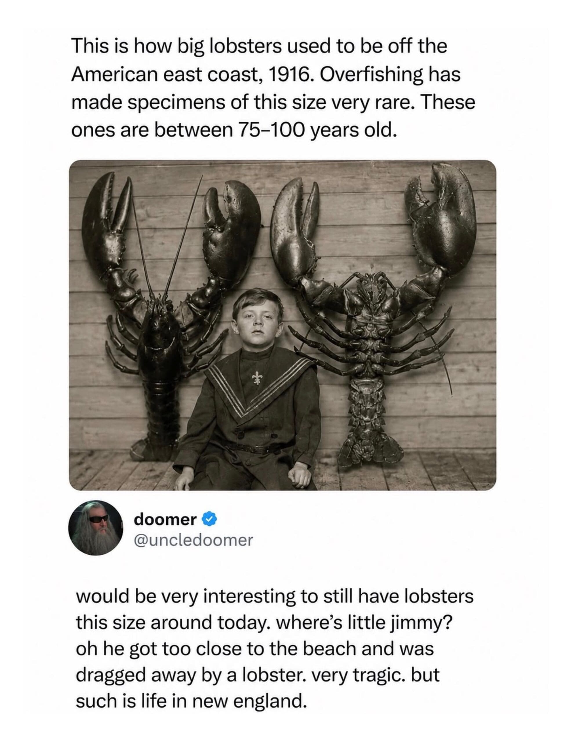 A vintage historical layout inside an online meme dump shows an early 20th-century photo of a boy sitting between two gargantuan lobsters, paired with a darkly comedic tweet by user uncle doomer about a child being dragged away into the ocean surf.