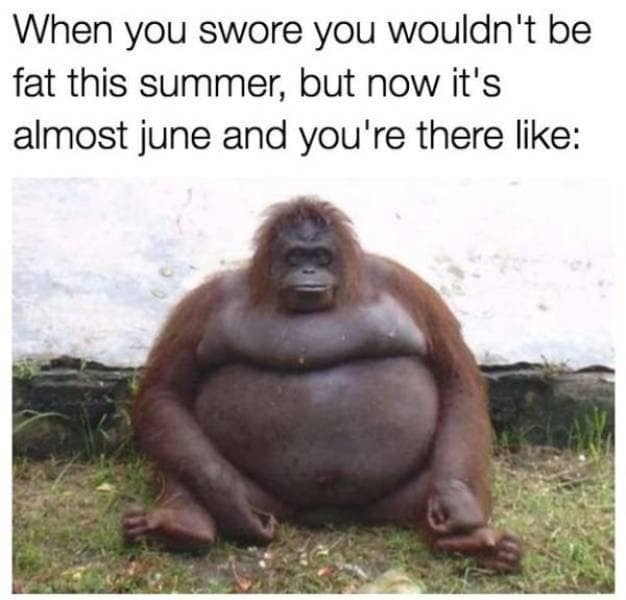 An obese orangutan sitting contemplatively in the grass, paired with a caption about failed summer body goals in this meme dump visual.