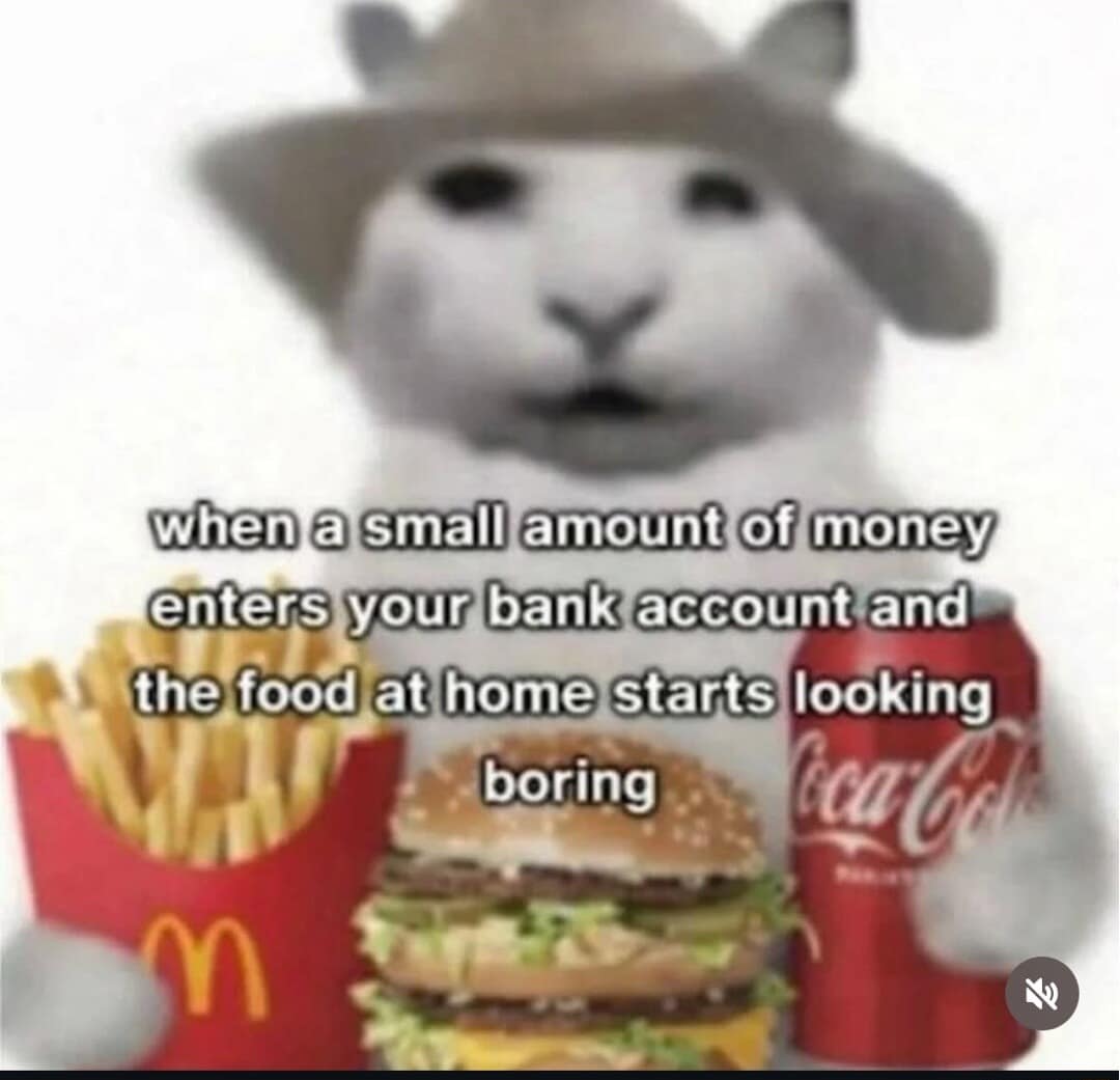 A chaotic meme dump entry showing a distorted cat wearing a cowboy hat surrounded by a McDonald's feast, representing the immediate urge to buy fast food the second a tiny direct deposit hits.