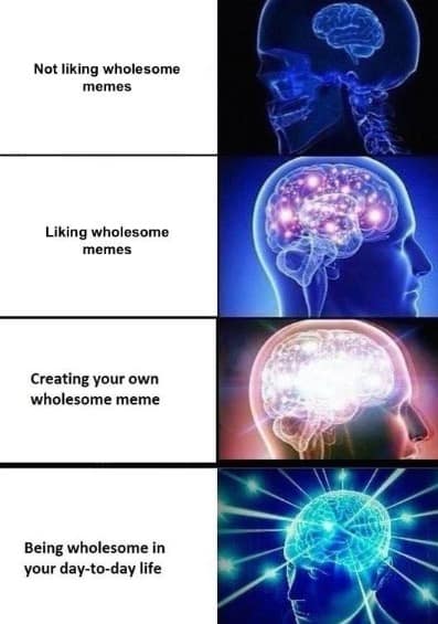 n expanding brain hilarious meme progressing from "not liking wholesome memes" to the ultimate enlightened state of "being wholesome in your day-to-day life" with a glowing cosmic head.