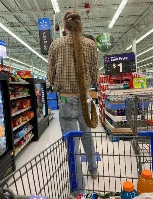 A snapshot from a supermarket checkout aisle captures a shopper with an exceptionally long, thick floor-length dreadlock that resembles an animal tail, shared widely across a viral funny meme thread.