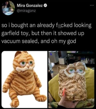 A side-by-side comparison photo shows a derpy Garfield plush toy on the left contrasted against the same toy completely flattened and crumpled inside a clear plastic vacuum-sealed bag on the right, circulating as a hilarious meme.