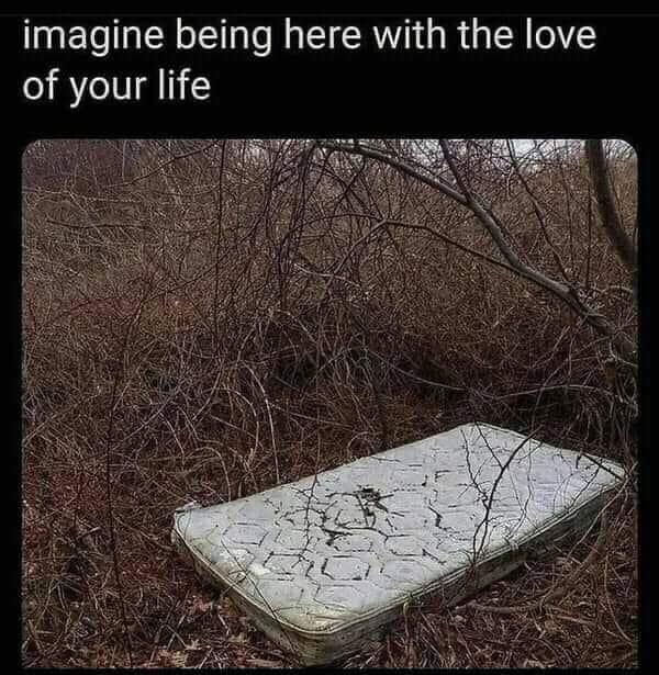 sketchy funny meme featuring a dirty mattress abandoned in a thicket of dead briars with the sarcastic caption: "imagine being here with the love of your life."