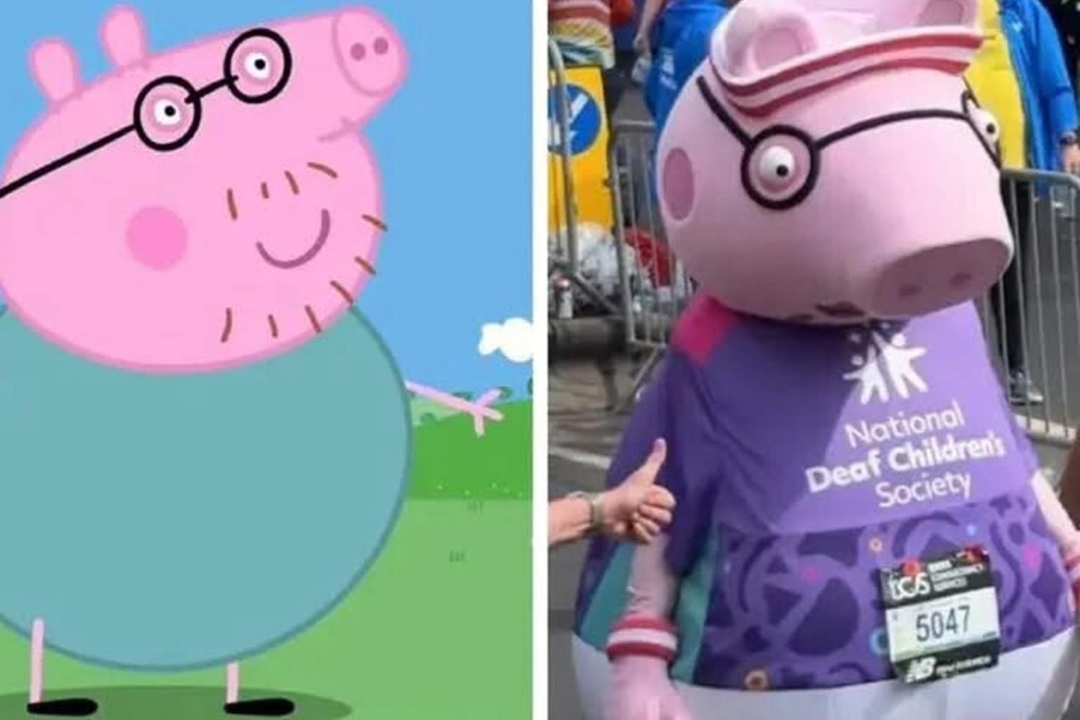 A viral meme dump gallery featuring a nostalgic 90s computer setup, Daddy Pig's marathon struggle, and a calico cat named Catthew. Optimized for digital humor and relatable internet culture.