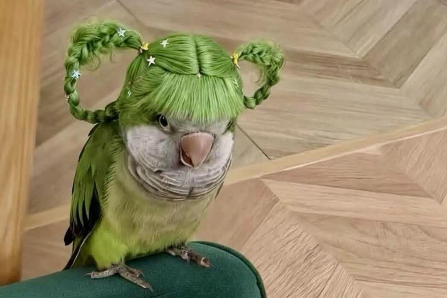 A diverse and hilarious meme dump capturing the peak of 2026 internet culture, featuring a 19th-century railroad tycoon version of Leonardo DiCaprio, a green parakeet rocking a pigtail wig, and a perspective-shifting realization about the relentless pace of solo bowling.
